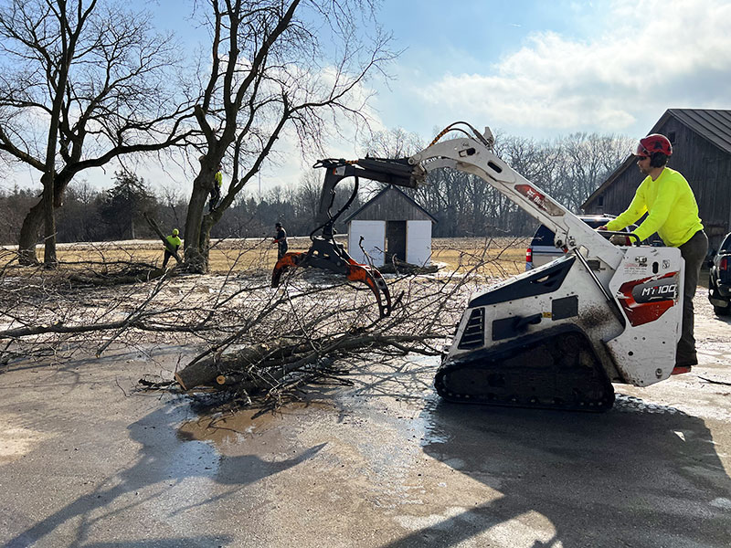 gallery-33 Waukesha WI Tree Removal