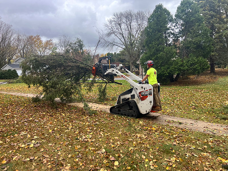 gallery-34 Waukesha WI Tree Removal
