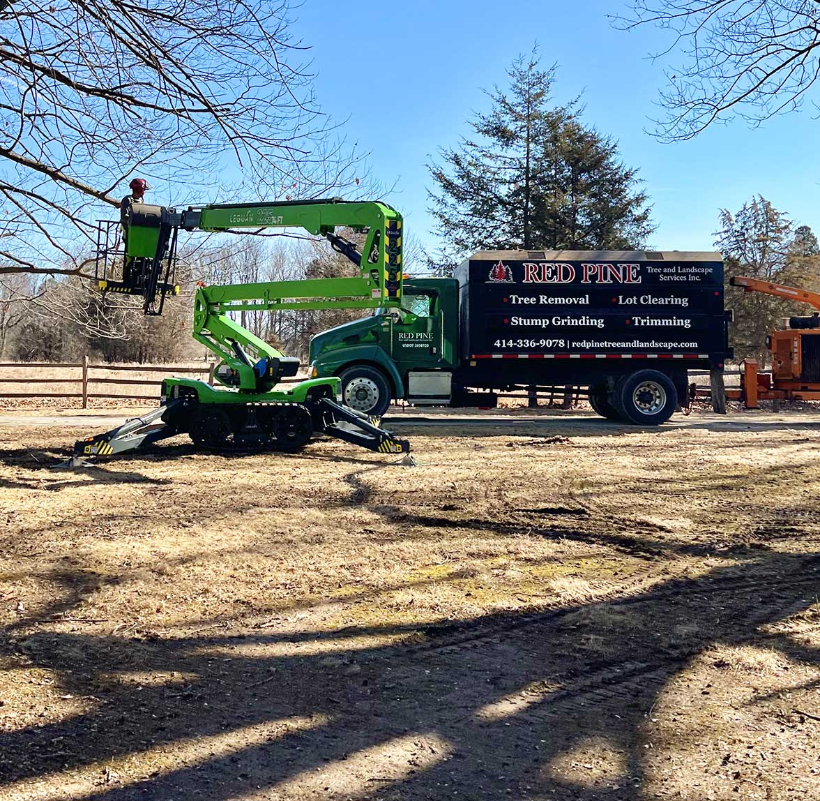 Waukesha County Tree Service