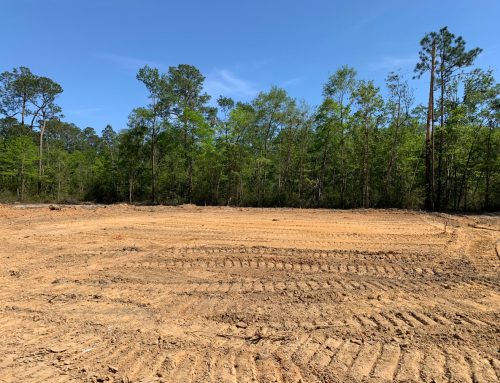 How Professional Lot Clearing Saves Time and Money