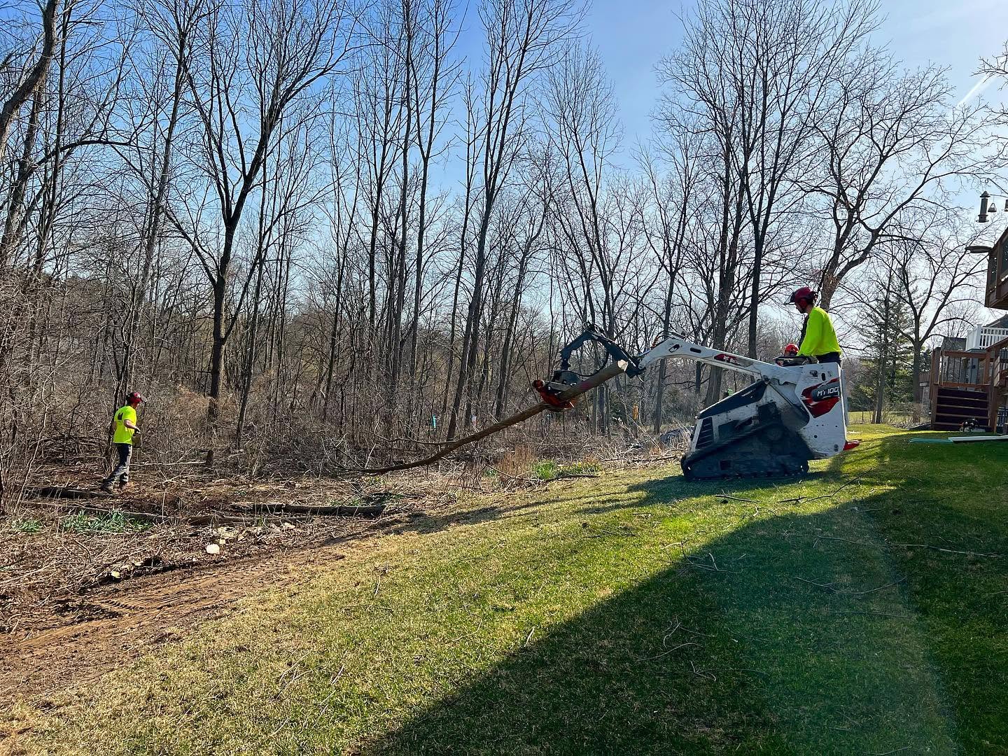 Lot Clearing 2