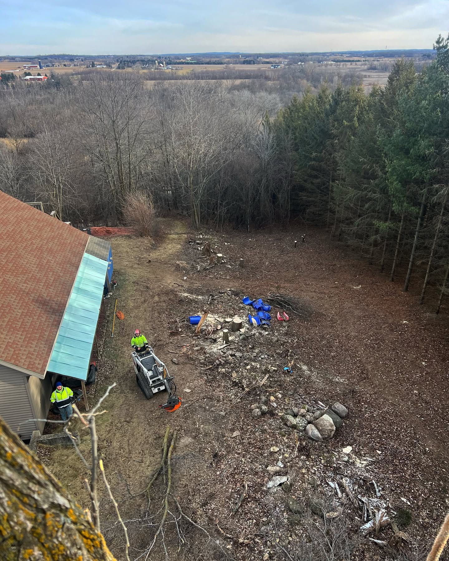 Lot Clearing